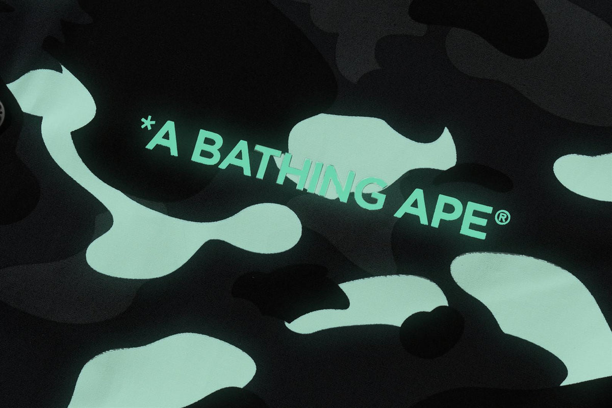 BAPE BAPE CITY CAMO POINTER COACH JACKET BAPEC ジャケット 商品画像 5