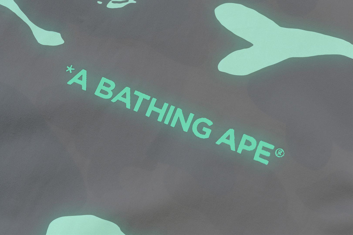 BAPE BAPE CITY CAMO POINTER COACH JACKET BAPEC ジャケット 商品画像 10