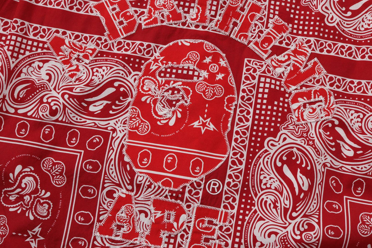 BAPE BAPE PAISLEY PATTERN LS SHIRT シャツ 商品画像 14