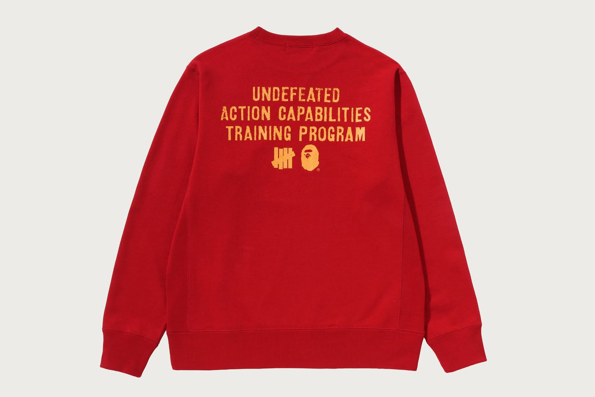 BAPE BAPE 【BAPE X UNDFTD】 CREWNECK SWEATSHIRT スウェットシャツ 商品画像 2