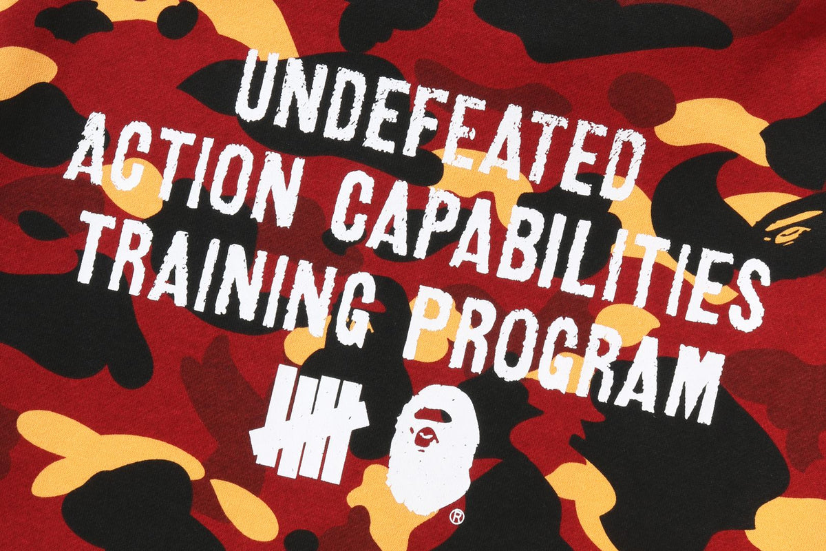 BAPE BAPE 【BAPE X UNDFTD】 FULL ZIP HOODIE パーカー 商品画像 9