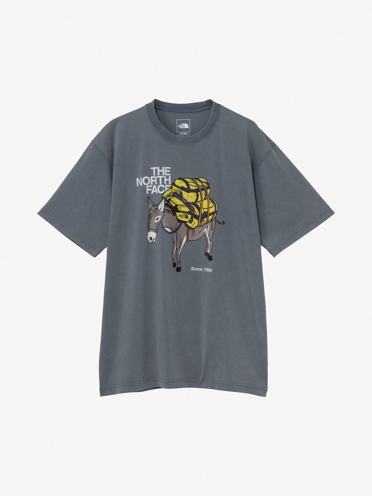 THE NORTH FACE(ザ・ノース・フェイス) ｜ショートスリーブキャラバンアドベンチャーティー（ユニセックス）｜品番：NT32630R｜画像2