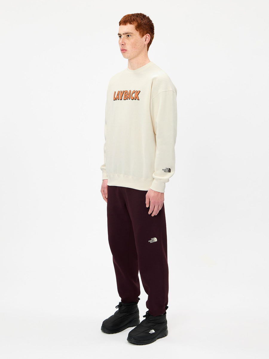 THE NORTH FACE(ザ・ノース・フェイス) ｜レイバッククルー（ユニセックス）｜品番：NT62611｜画像1