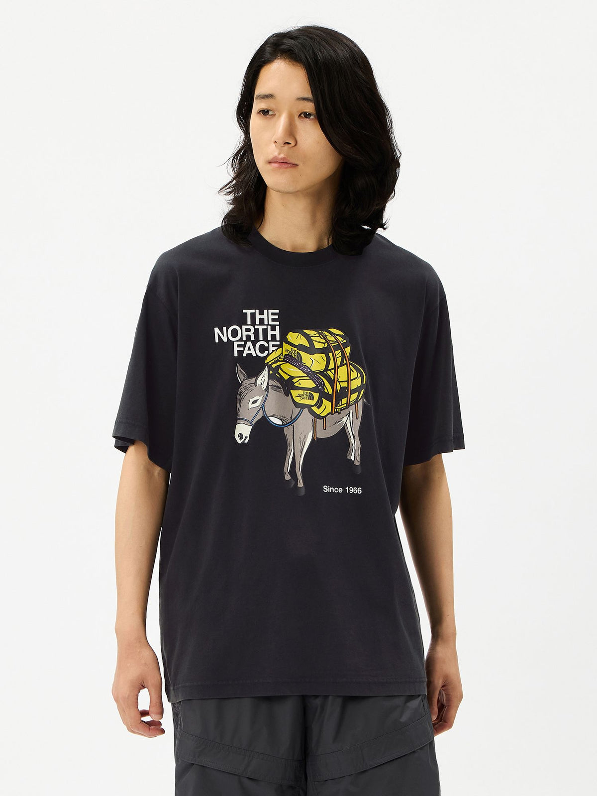 THE NORTH FACE(ザ・ノース・フェイス) ｜ショートスリーブキャラバンアドベンチャーティー（ユニセックス）｜品番：NT32630R｜画像5