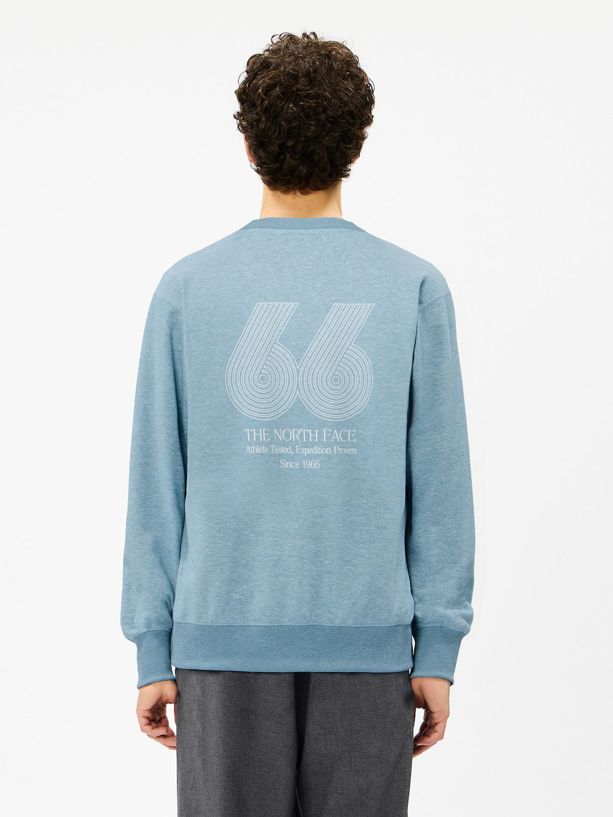 THE NORTH FACE(ザ・ノース・フェイス) ｜66グラフィックスウェットクルー（ユニセックス）｜品番：NT62685｜画像8