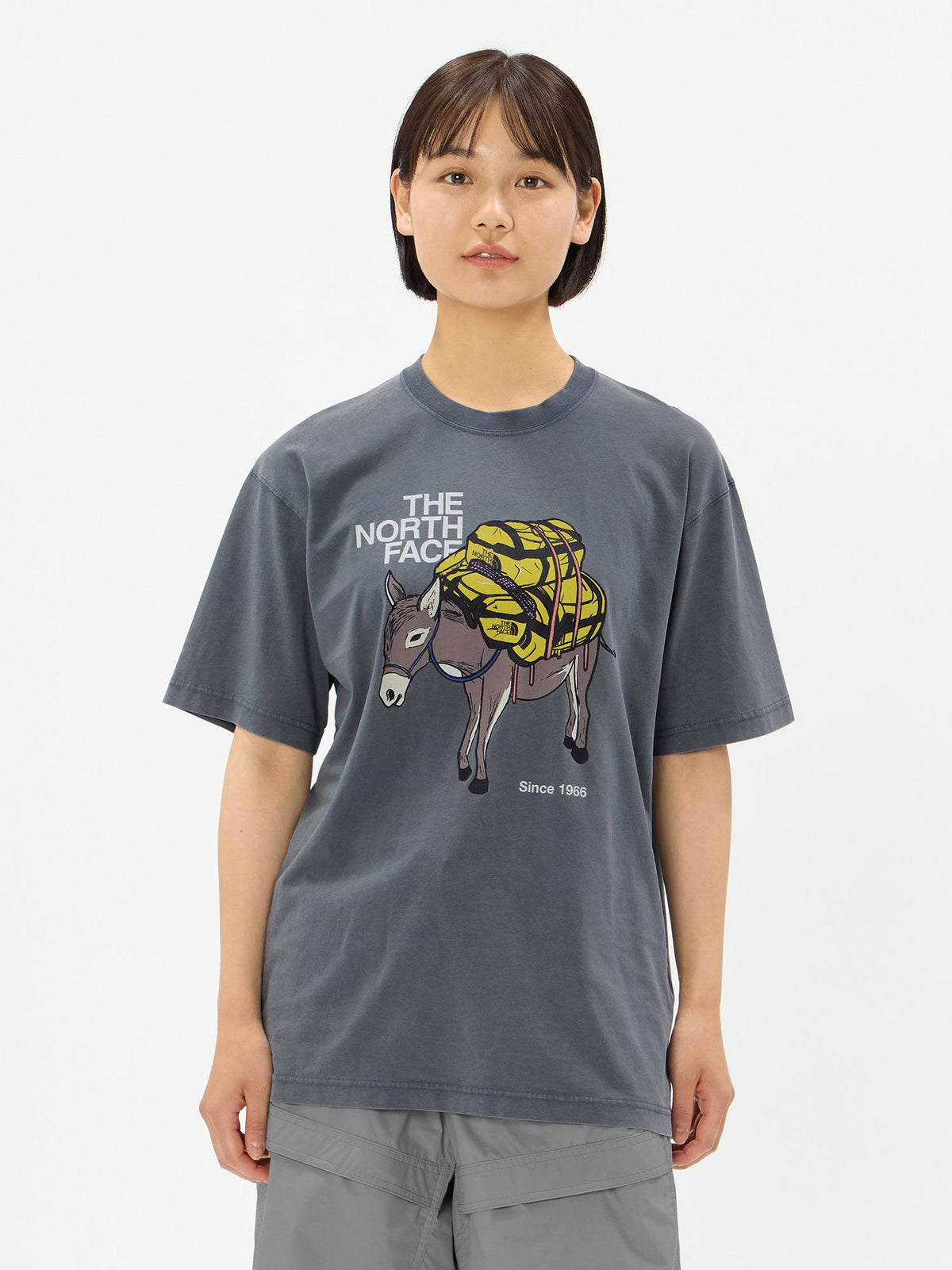 THE NORTH FACE(ザ・ノース・フェイス) ｜ショートスリーブキャラバンアドベンチャーティー（ユニセックス）｜品番：NT32630R｜画像10
