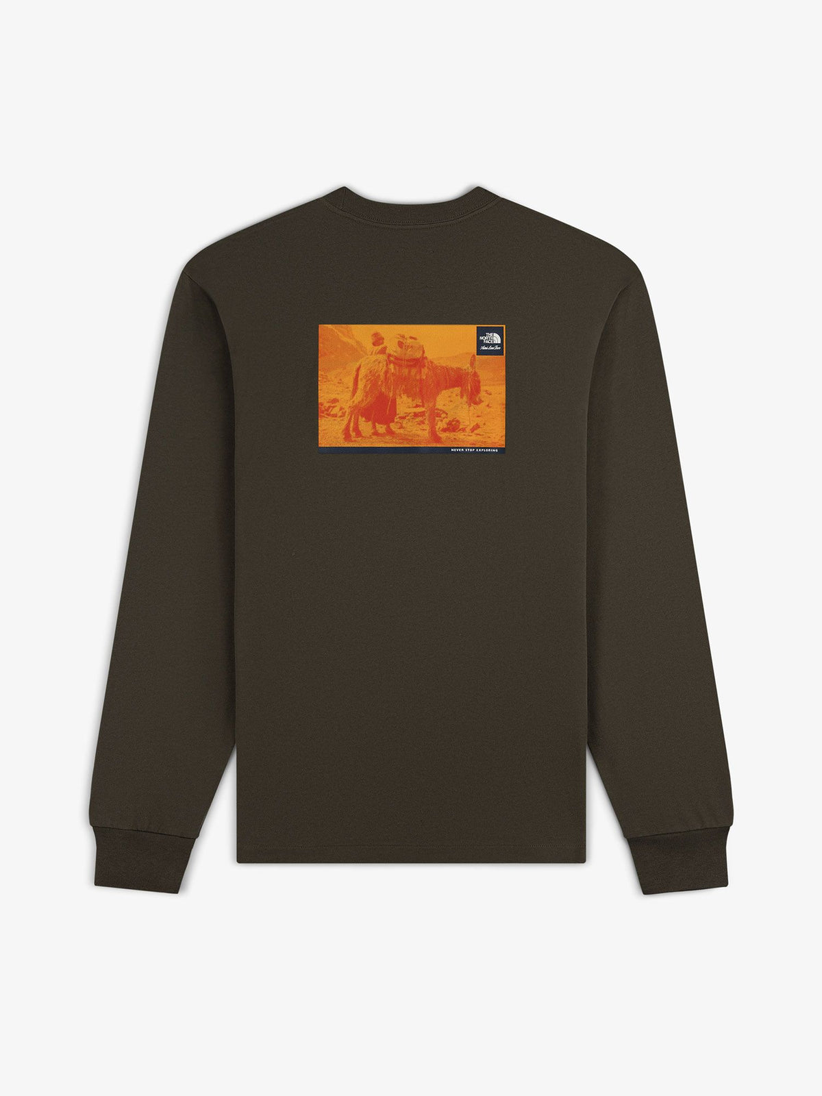 THE NORTH FACE(ザ・ノース・フェイス) ｜エメ・レオン・ドレ ロングスリーブティー（ユニセックス）｜品番：NT52611AD｜画像3