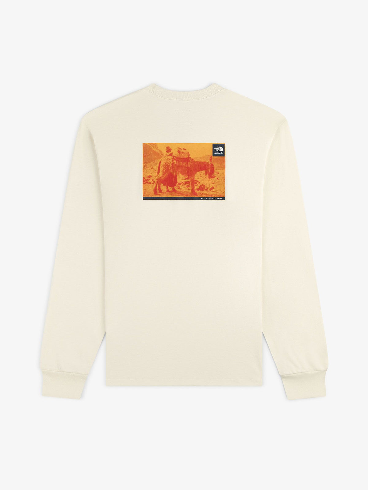 THE NORTH FACE(ザ・ノース・フェイス) ｜エメ・レオン・ドレ ロングスリーブティー（ユニセックス）｜品番：NT52611AD｜画像4