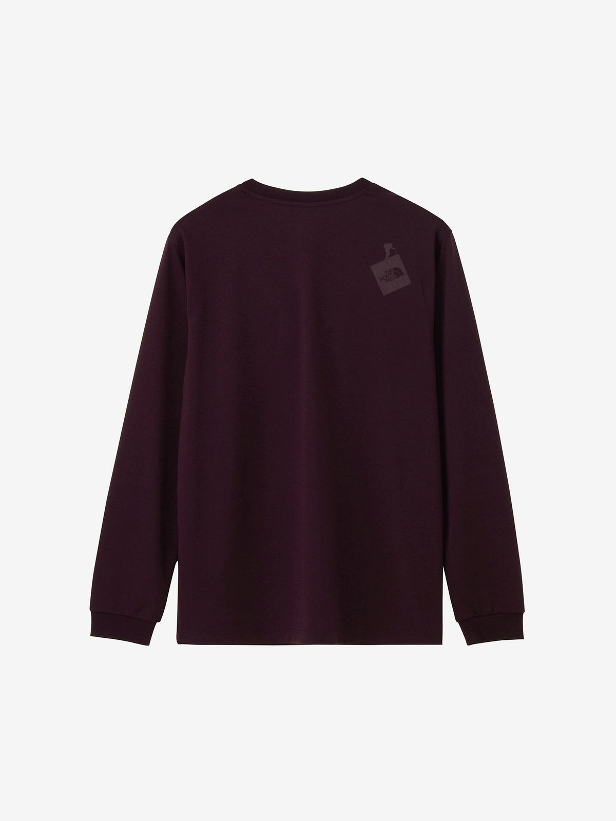 THE NORTH FACE(ザ・ノース・フェイス) ｜ロングスリーブマウンテニアリングロゴクルー（ユニセックス）｜品番：NT82688｜画像15
