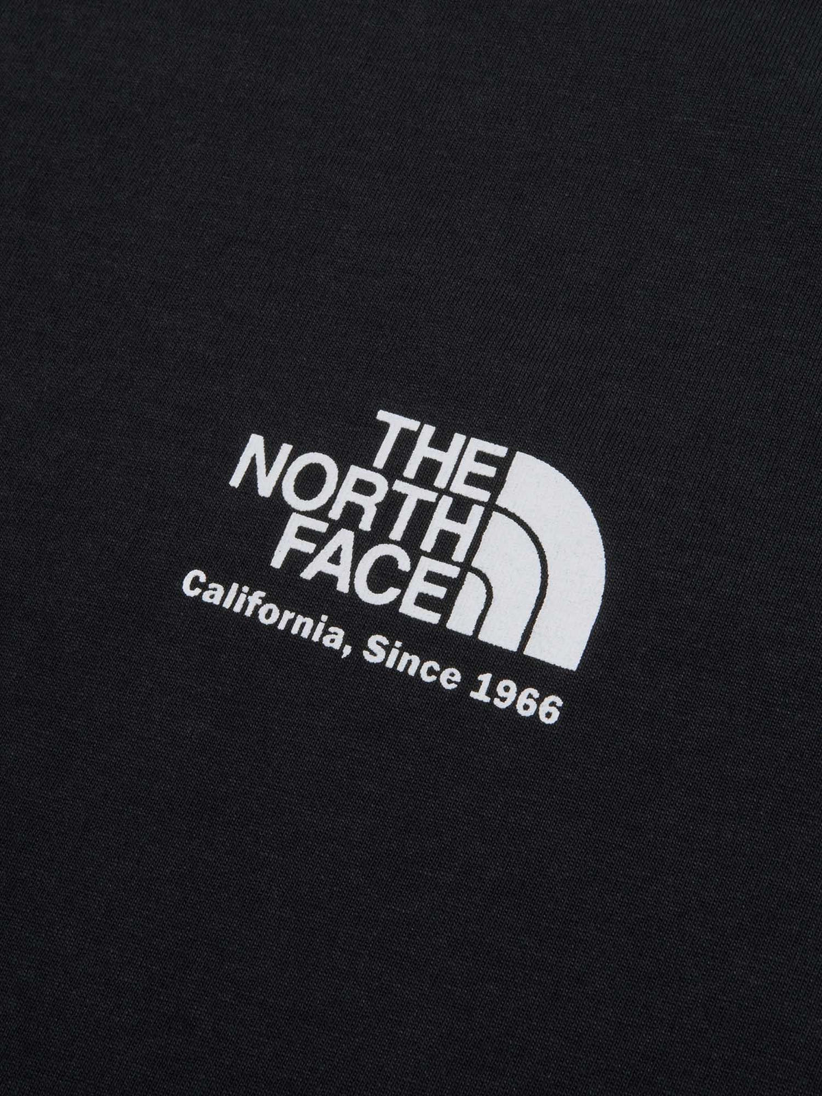 THE NORTH FACE(ザ・ノース・フェイス) ｜ショートスリーブウォッシュドヒストリカルロゴティー（ユニセックス）｜品番：NT82642｜画像17