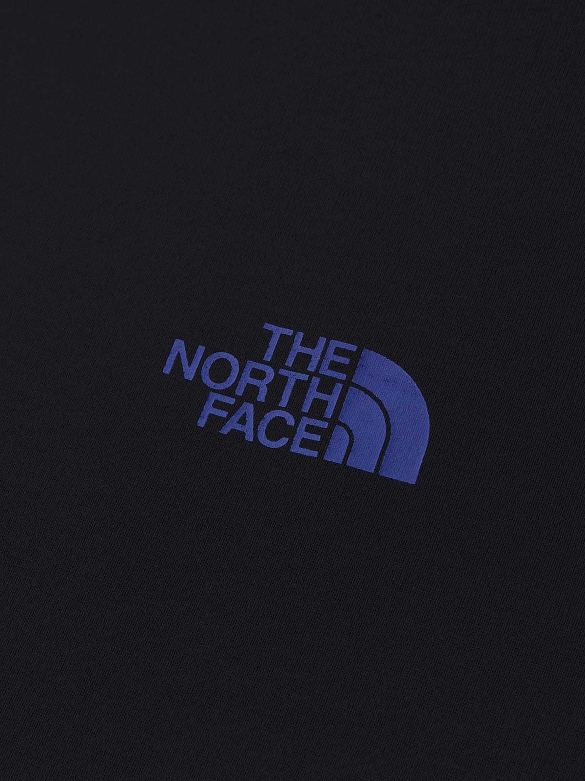 THE NORTH FACE(ザ・ノース・フェイス) ｜ロングスリーブフリーラングラフィッククルー（ユニセックス）｜品番：NT62693｜画像17