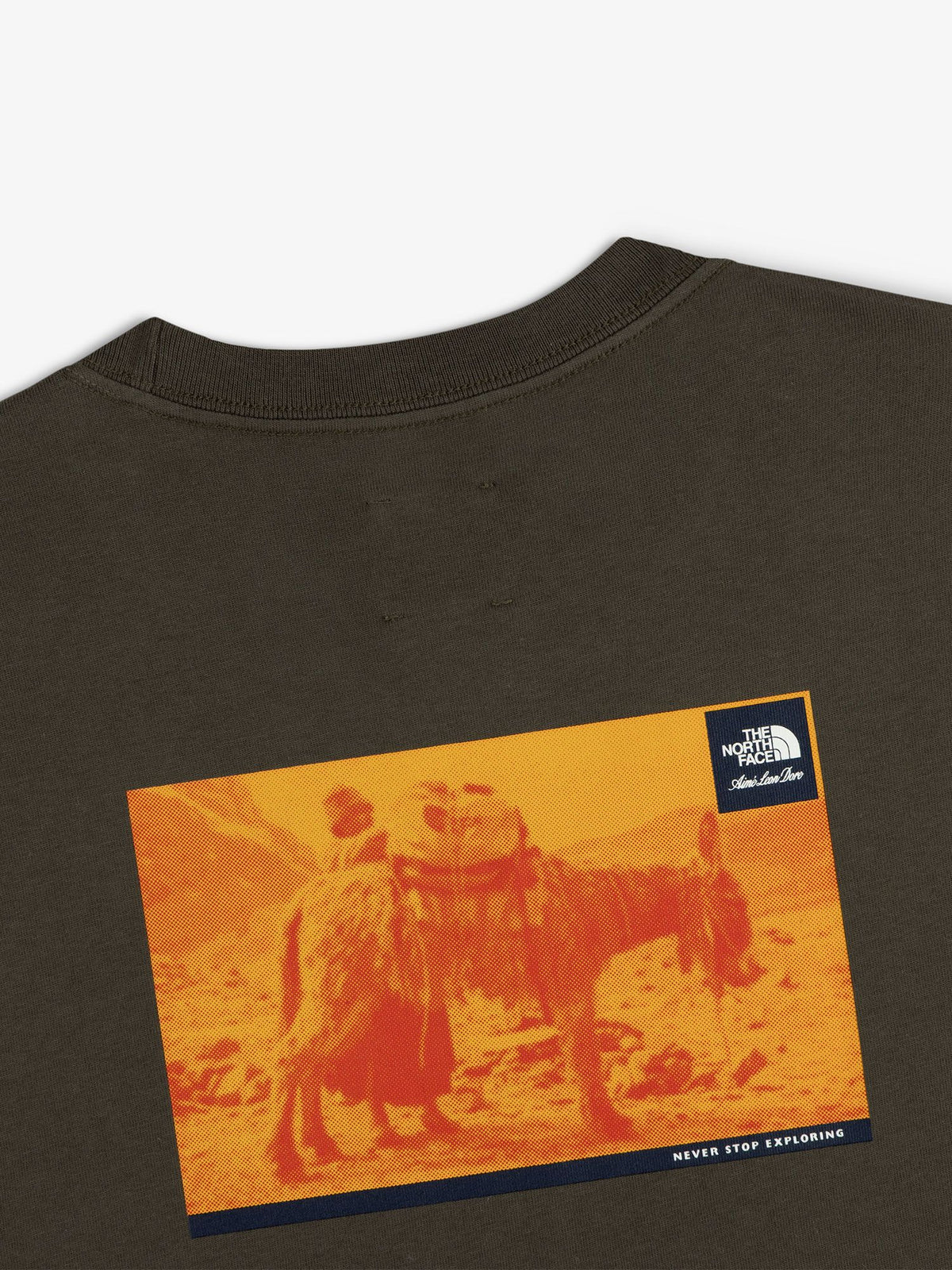 THE NORTH FACE(ザ・ノース・フェイス) ｜エメ・レオン・ドレ ロングスリーブティー（ユニセックス）｜品番：NT52611AD｜画像6