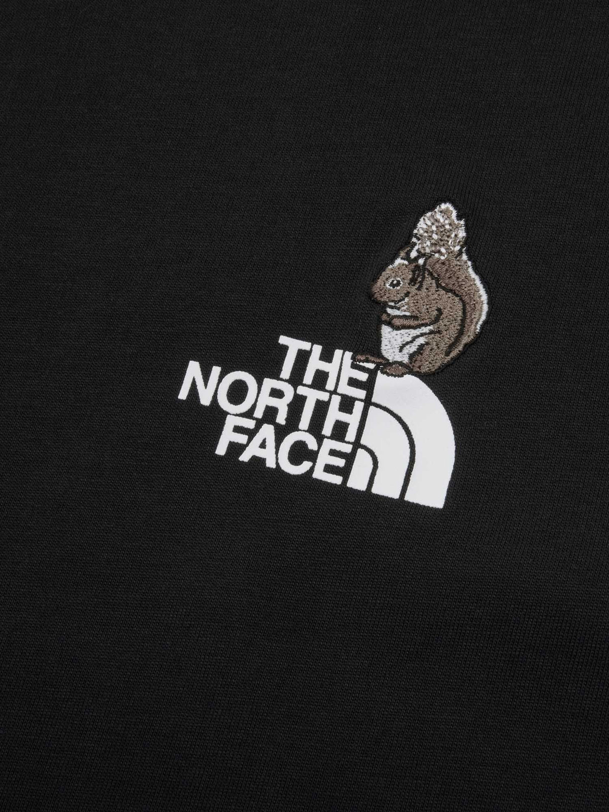 THE NORTH FACE(ザ・ノース・フェイス) ｜ロングスリーブフラッシュドライズーピッカーティー（ユニセックス）｜品番：NT82645｜画像23