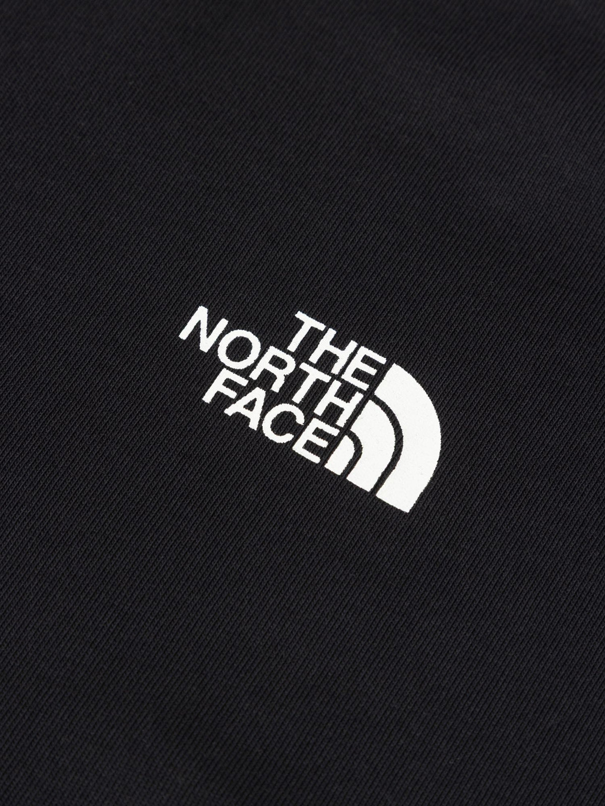 THE NORTH FACE(ザ・ノース・フェイス) ｜ショートスリーブ 60th TNF トゥルーノースティー（ユニセックス）｜品番：NT82642R｜画像6