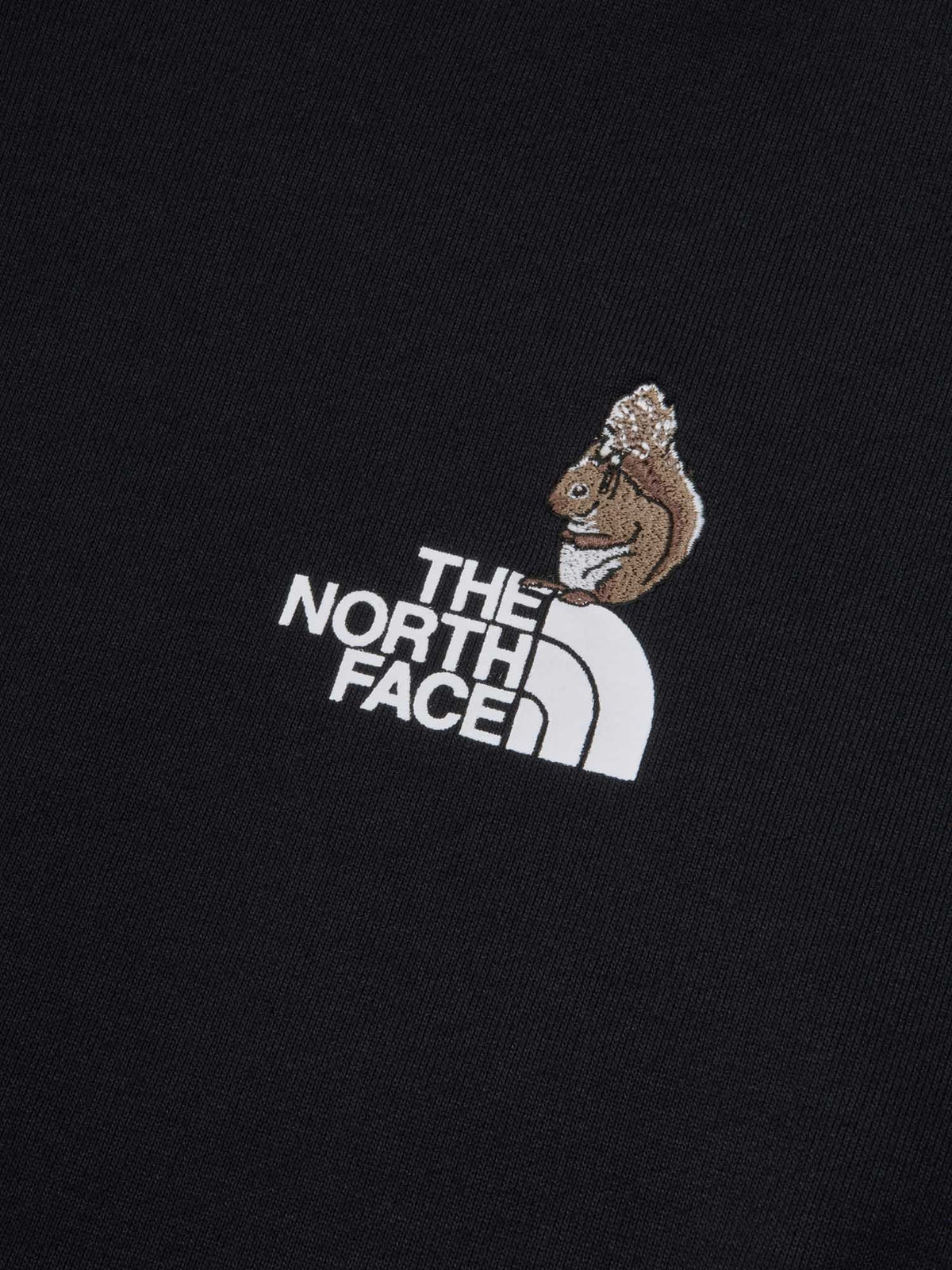 THE NORTH FACE(ザ・ノース・フェイス) ｜ズーピッカーフーディ（ユニセックス）｜品番：NT62637｜画像22