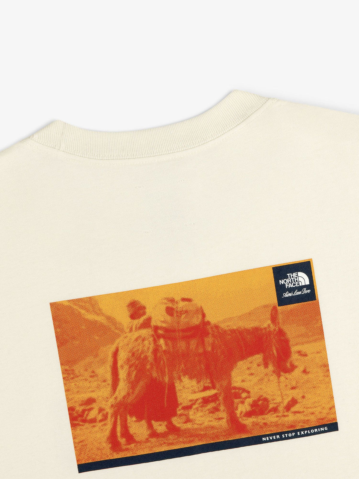 THE NORTH FACE(ザ・ノース・フェイス) ｜エメ・レオン・ドレ ロングスリーブティー（ユニセックス）｜品番：NT52611AD｜画像8