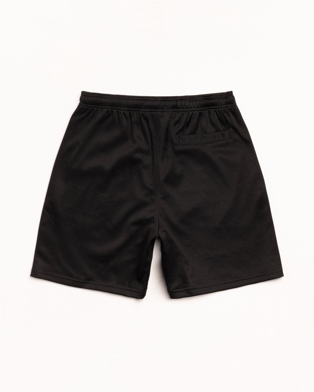 Stüssy Stüssy MESH SHORT BIG BASIC ショートパンツ 商品画像 2
