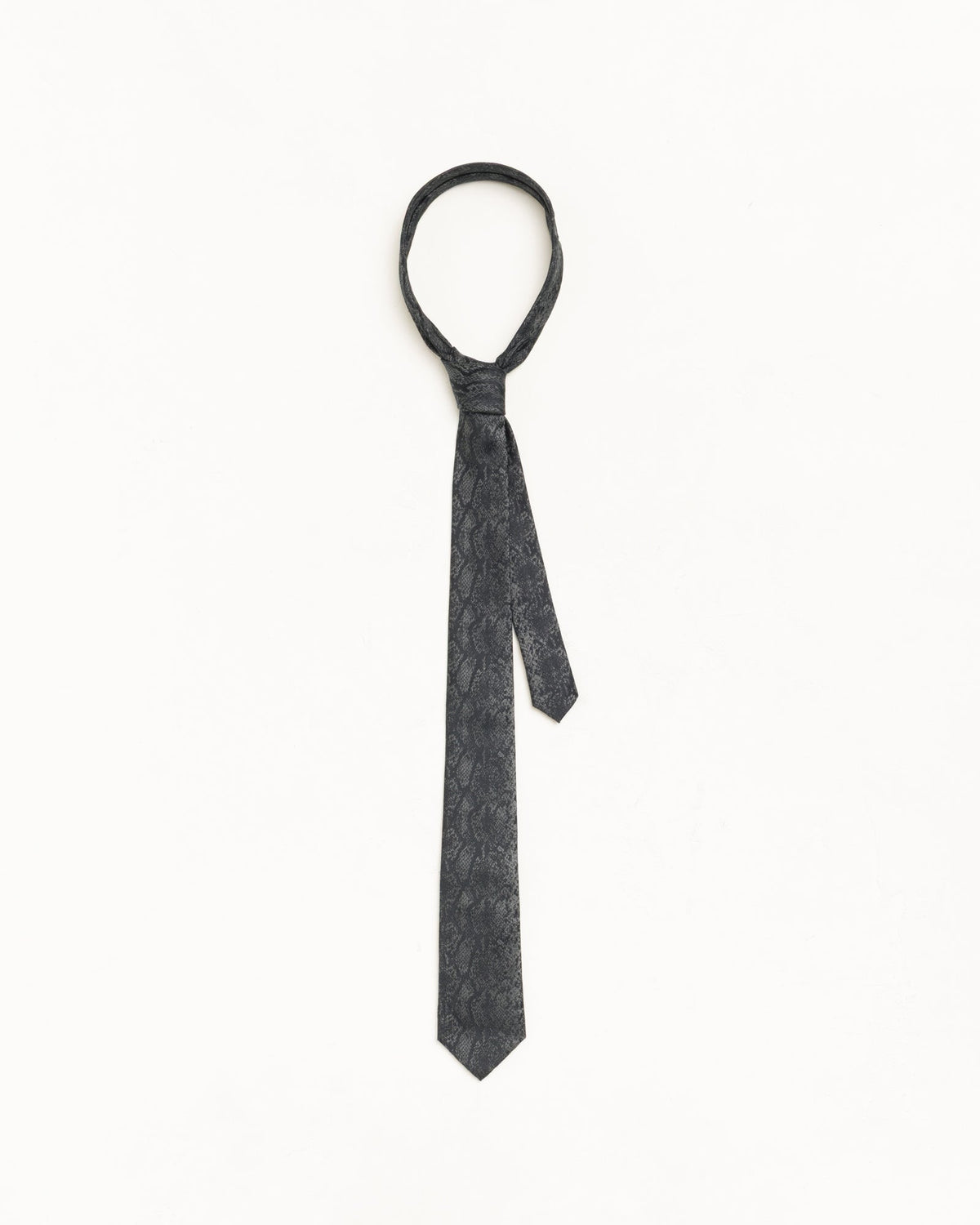 Stüssy Stüssy SILK PYTHON TIE ネクタイ 商品画像 1